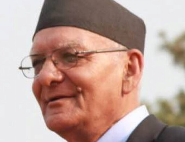 श्री एयरलाइन्सको जहाज आकस्मिक अवतरण