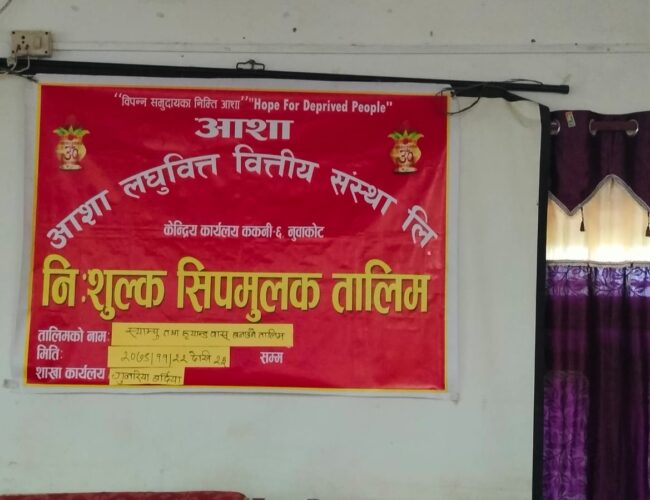 एक्काइस हजार महिलालाई हस्तकला सीप